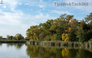 잡음 제거: 윈도우 11 마이크 잡음 및 윙윙거리는 소리 해결 완벽 가이드