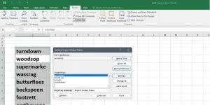 Come eseguire il controllo ortografico in Excel