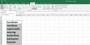 Come eseguire il controllo ortografico in Excel