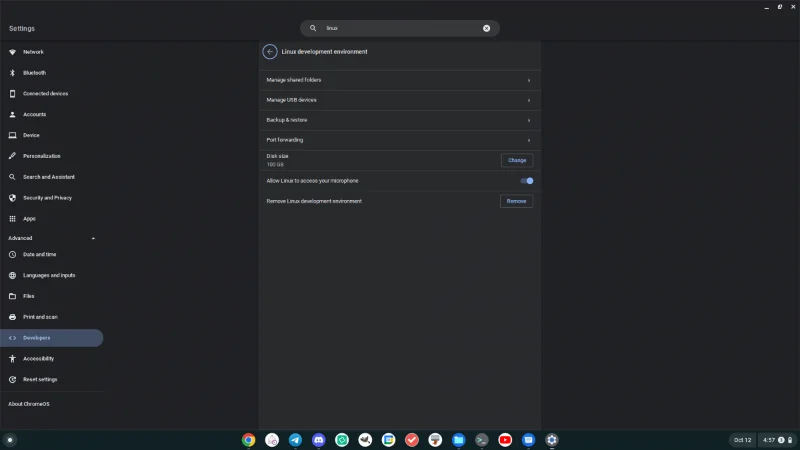 Come pubblicare su Mastodon dal desktop Chrome OS
