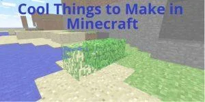 Cose interessanti da realizzare in Minecraft