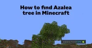 Как найти деревья азалии в Minecraft