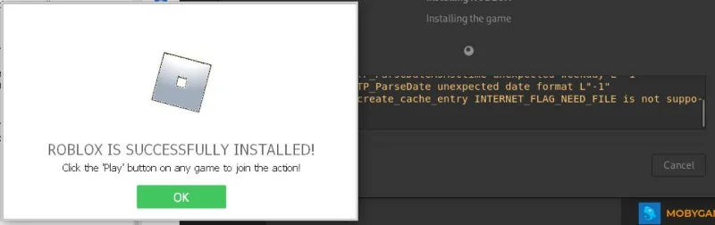 Processo di installazione di Roblox su Linux