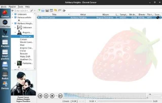 Strawberry를 사용하여 Linux에서 음악 구성