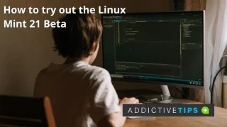 كيفية تجربة Linux Mint 21 Beta