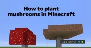 كيفية زراعة الفطر في Minecraft: كل ما تحتاج إلى معرفته