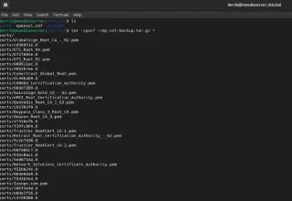 Come eseguire il backup e ripristinare il tuo sito Web su Linux
