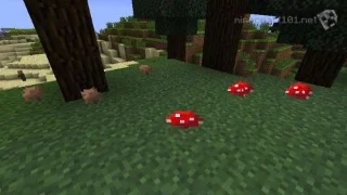 Как выращивать грибы в Minecraft