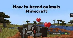 Wie man Tiere in Minecraft züchtet