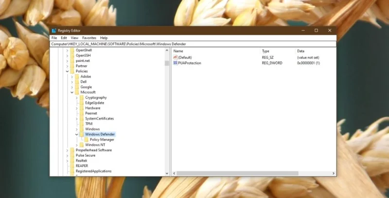 如何修復 Windows Defender 被組策略停用