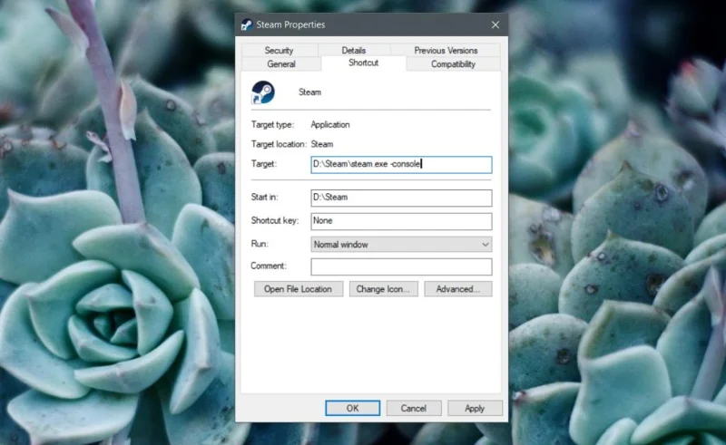 如何在 Windows 10 上打開 Steam 控制台