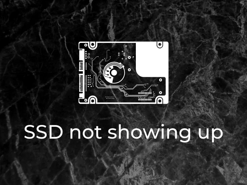 SSD不顯示？未檢測到新 SSD 時該怎麼辦