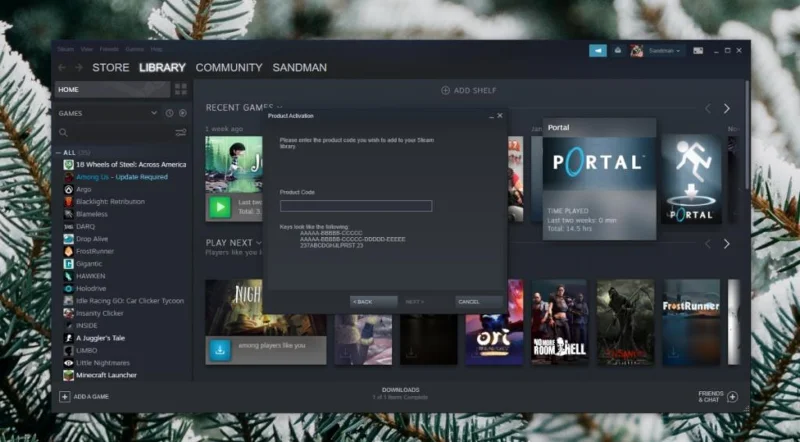 Was ist ein Steam-Key?