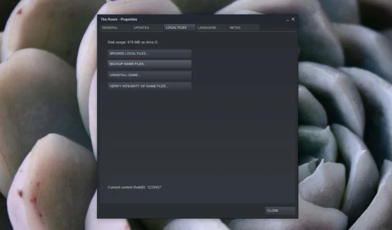 So finden Sie den Steam-Ordner unter Windows 10