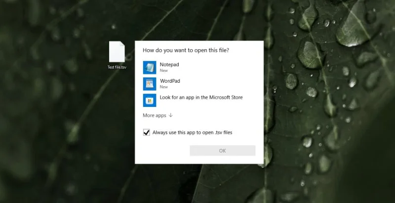 如何在 Windows 10 上打開 TSV 文件