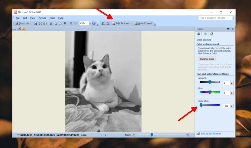 如何在 Windows 10 上製作黑白照片