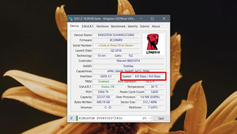 Come verificare se un SSD è SATA o NVMe su Windows 10