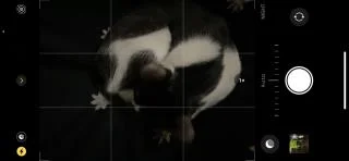iPhone 카메라에서 야간 모드를 비활성화하는 방법
