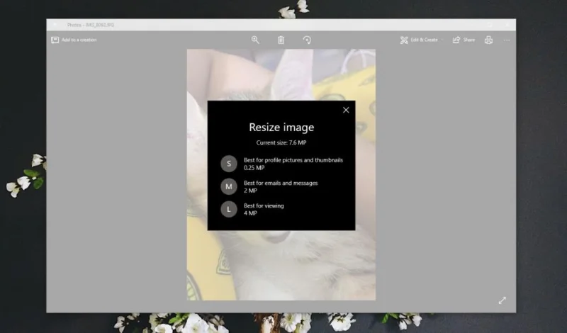 So ändern Sie die Größe von Fotos in der Fotos-App unter Windows 10