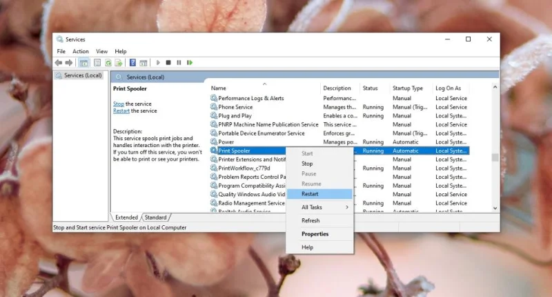 Pinter Offline [FIX] – Warum ist mein Drucker in Windows 10 offline?