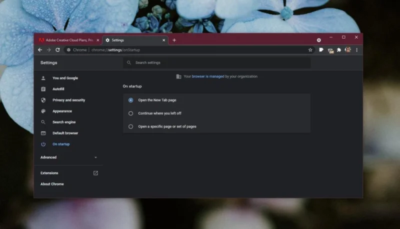 Come risolvere il problema: Chrome Continua da dove eri rimasto La funzione non funziona