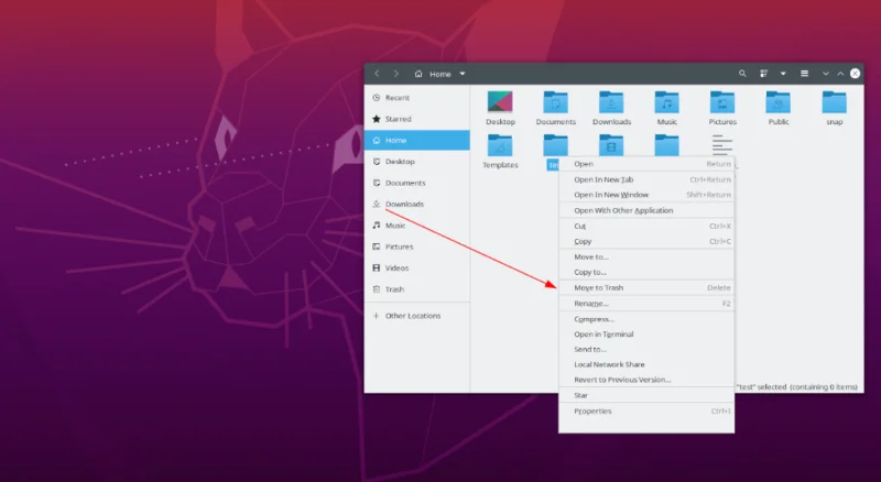 Ubuntu：從終端或文件管理器中刪除目錄