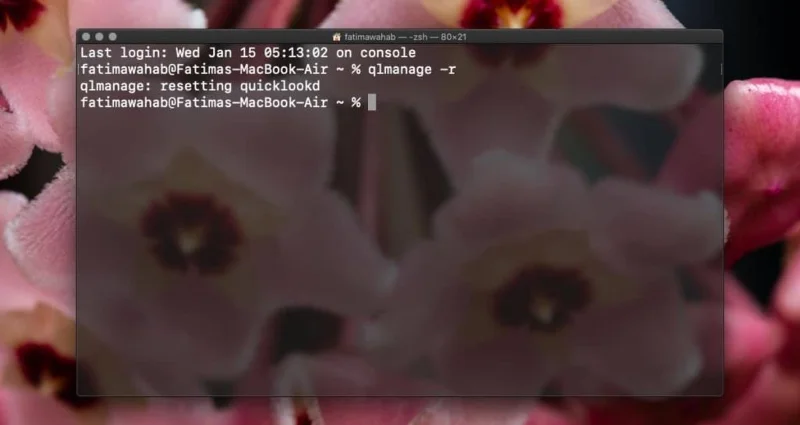 So installieren Sie ein Plugin in QuickLook unter macOS