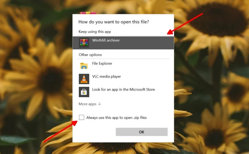 File ZIP Windows 10: come aprire i file Zip e correggere lassociazione dei file su Windows 10