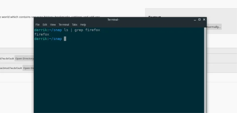如何在 Linux 上備份 Firefox Snap 設置