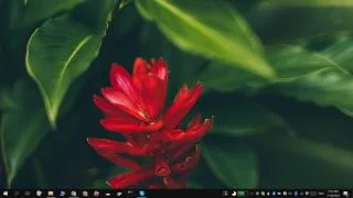 如何在 Windows 10 上啟用/禁用屏幕截圖