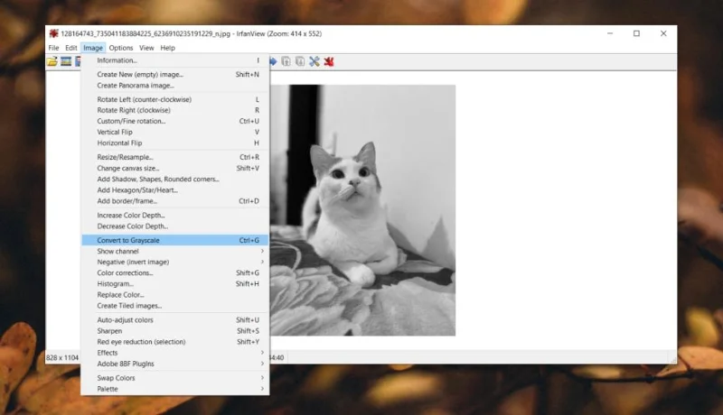 如何在 Windows 10 上製作黑白照片