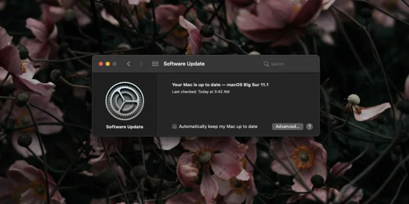 AirPods non si connette: perché i miei AirPods non si collegano al Mac?