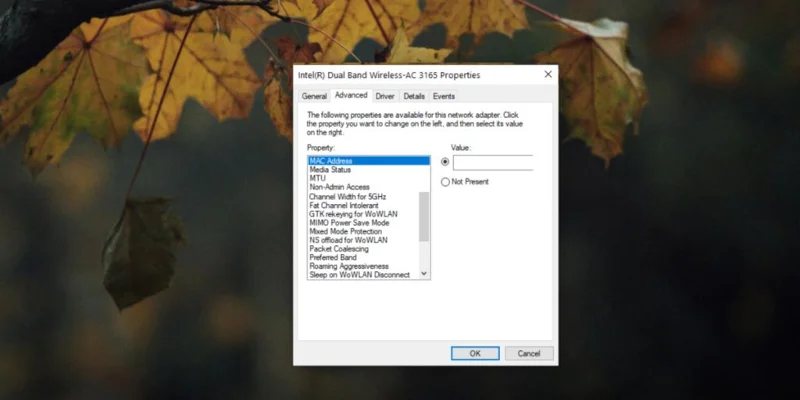DNS 서버가 응답하지 않음: Windows 10에서 DNS가 응답하지 않는 문제를 해결하는 방법