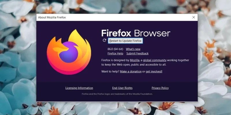 Facebook 視頻無法在 Chrome、Firefox、Safari 中播放（已解決）
