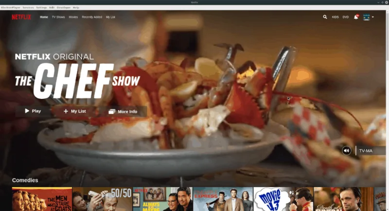 So vereinfachen Sie die Netflix-Wiedergabe unter Linux mit ElectronPlayer