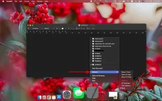 So heften Sie eine App an virtuelle Desktops unter macOS