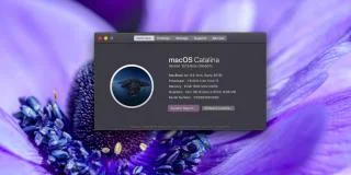 So wechseln Sie von macOS Catalina Beta zu macOS Catalina Stable