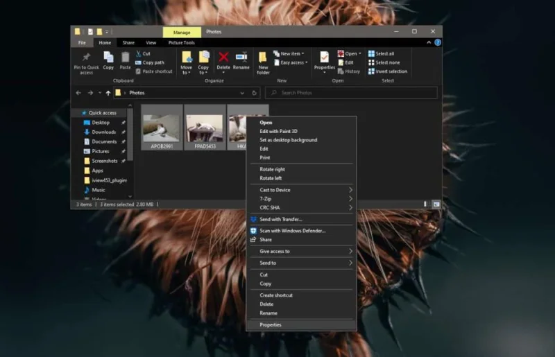 So löschen Sie EXIF-Daten aus Fotos unter Windows 10