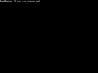 Come disabilitare gli aggiornamenti delle app su Arch Linux
