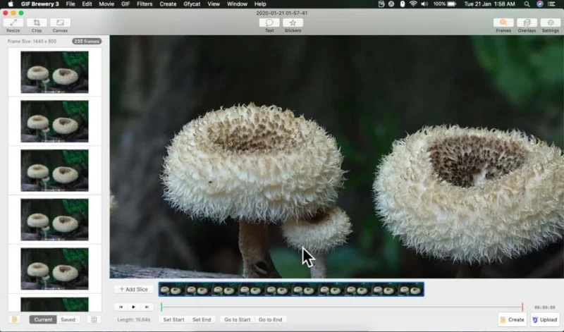 So zeichnen Sie GIF-Screencasts unter macOS auf