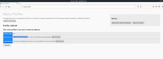 Come eseguire il backup delle impostazioni di Firefox Snap su Linux