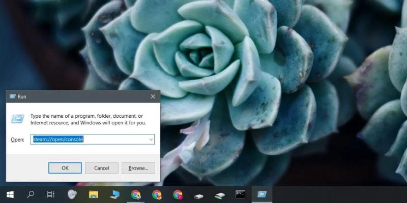 如何在 Windows 10 上打開 Steam 控制台