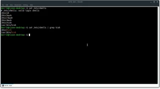 如何在 Linux 上從 Bash 切換到 C Shell