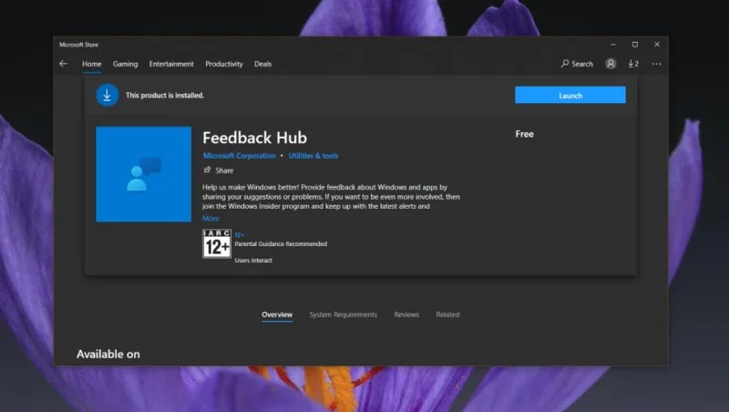 如何在 Windows 10 上卸載反饋中心