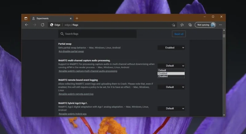Visualizzazione della pagina about:flags di Microsoft Edge