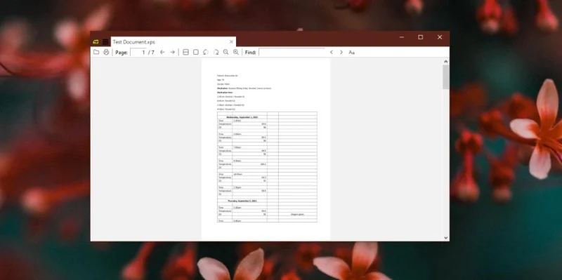 如何在 Windows 10 上啟用 XPS 查看器