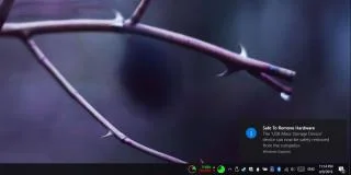 如何在 Windows 10 上禁用“安全刪除硬件”功能