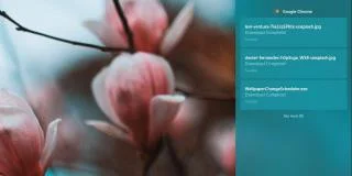如何在 Windows 10 上將通知排除在操作中心之外
