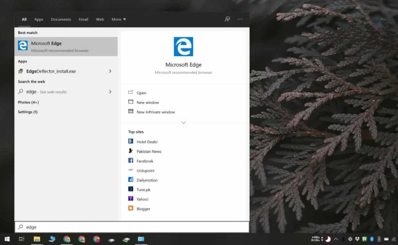 So stufen Sie Chromium Edge auf Microsoft Edge unter Windows 10 herunter
