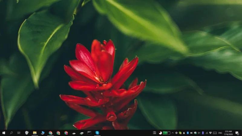 如何在 Windows 10 上啟用/禁用屏幕截圖